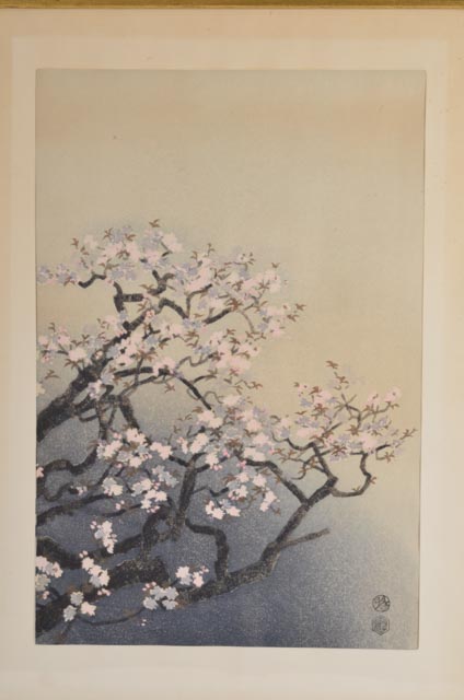 Japanese Woodblock Print "Cherry Blossoms" by Kotozuka Eiichi