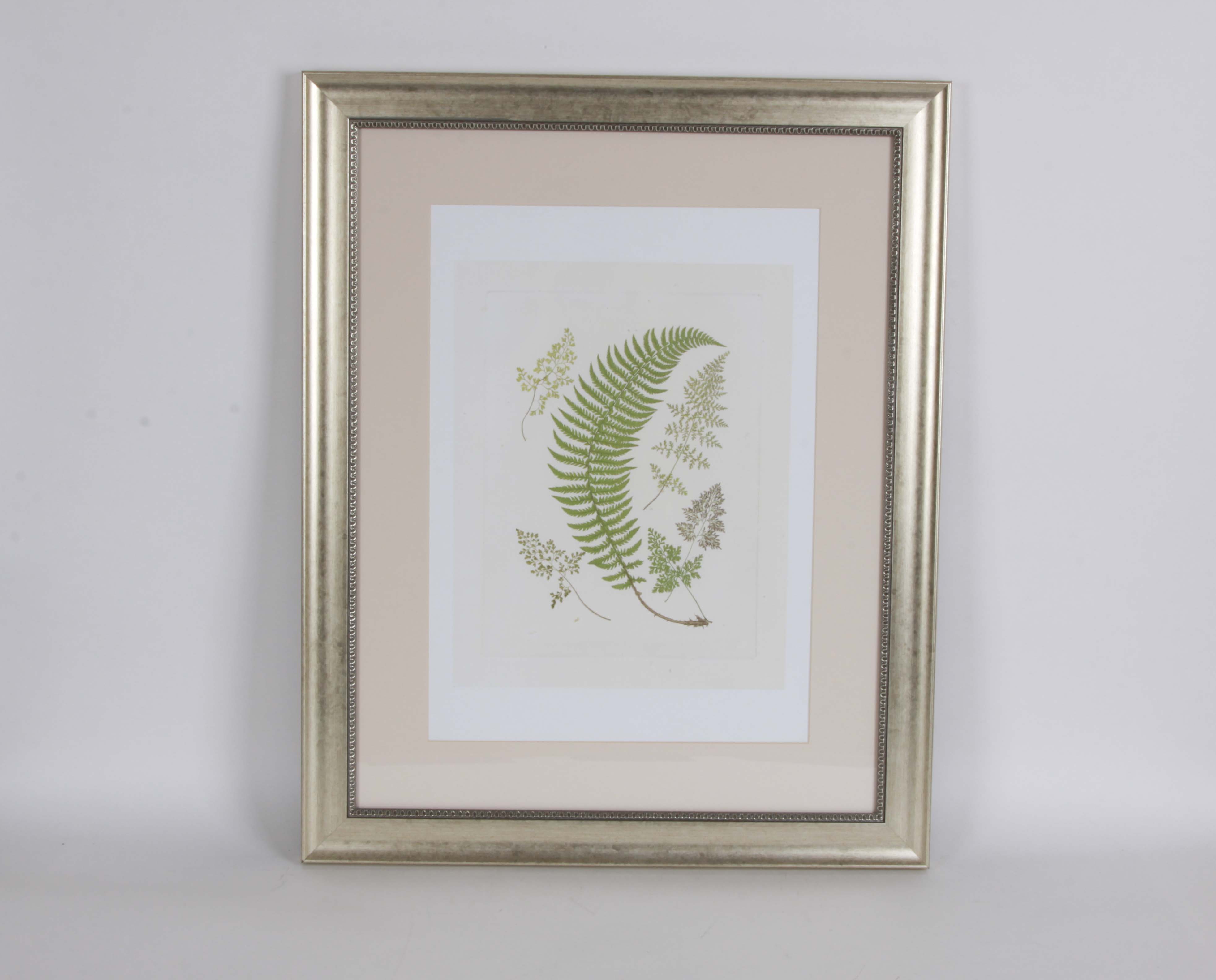 Framed Art Collection