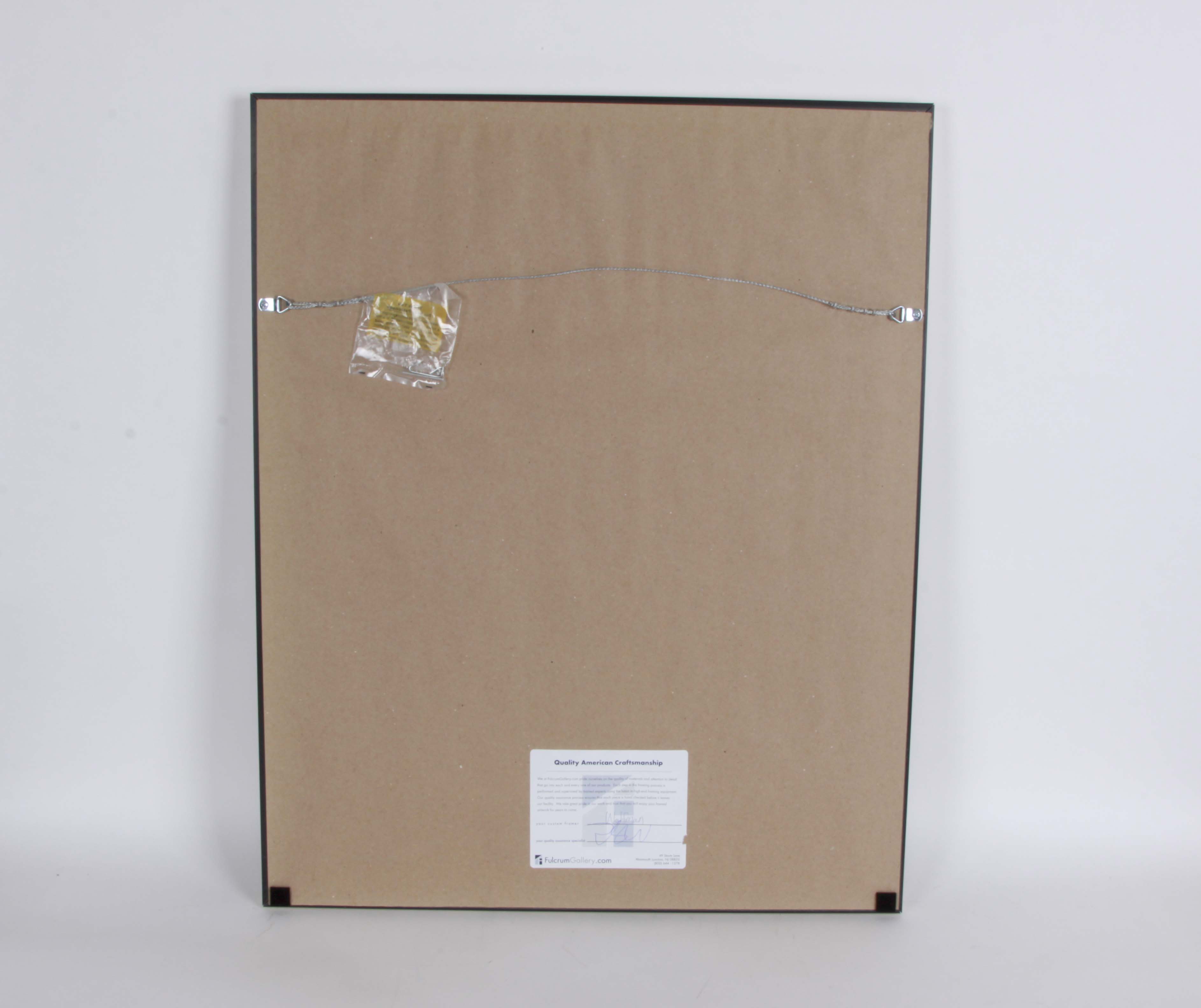 Framed Art Collection