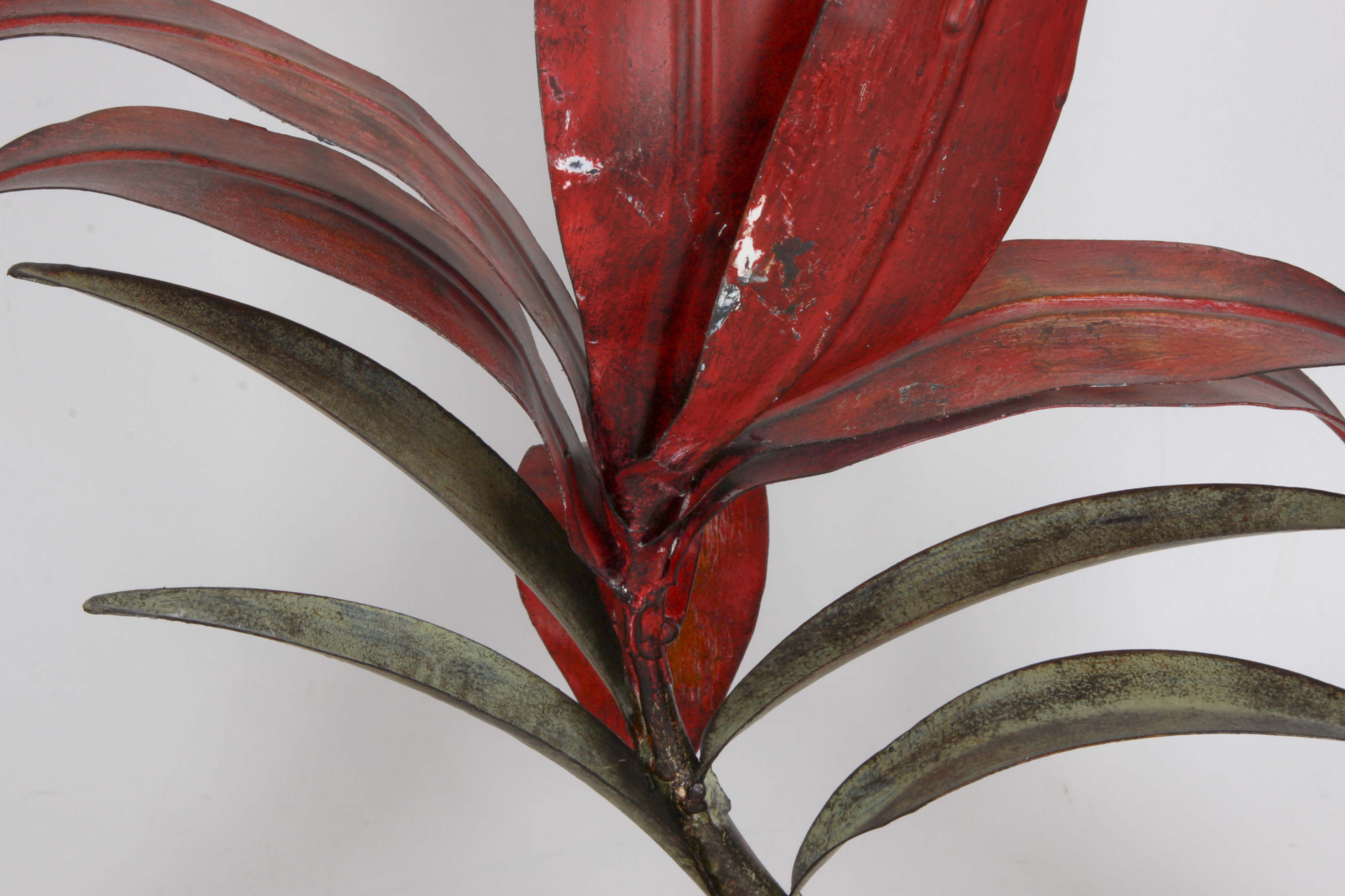 Framed Art Collection