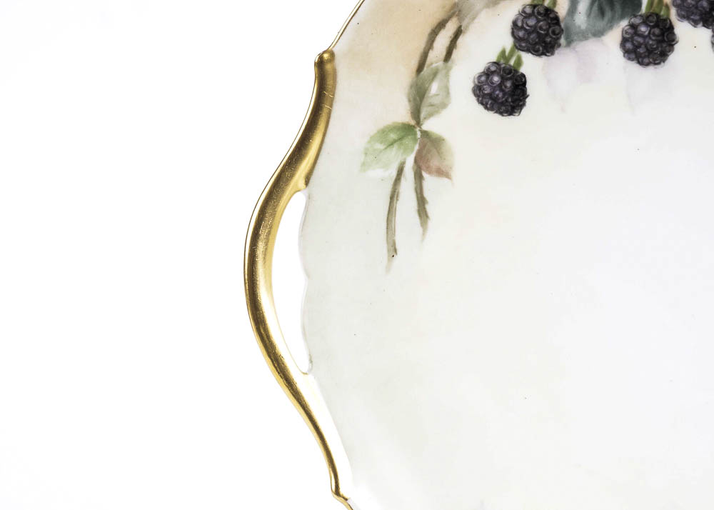 T&V Limoges France Hand Painted Plate