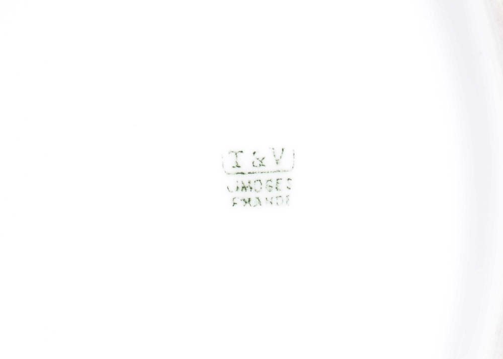 T&V Limoges France Hand Painted Plate