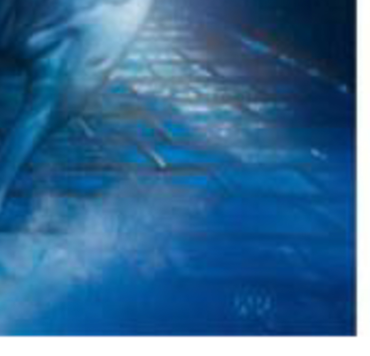 John Rowe - "Racing Midnight" Limited Edition Giclee