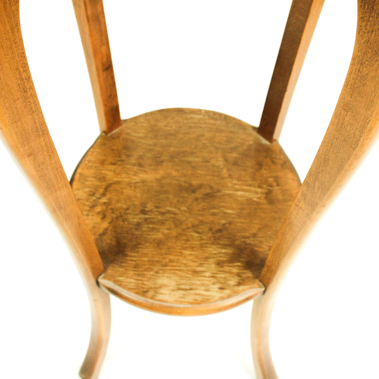 Two- Tier Plant Stand