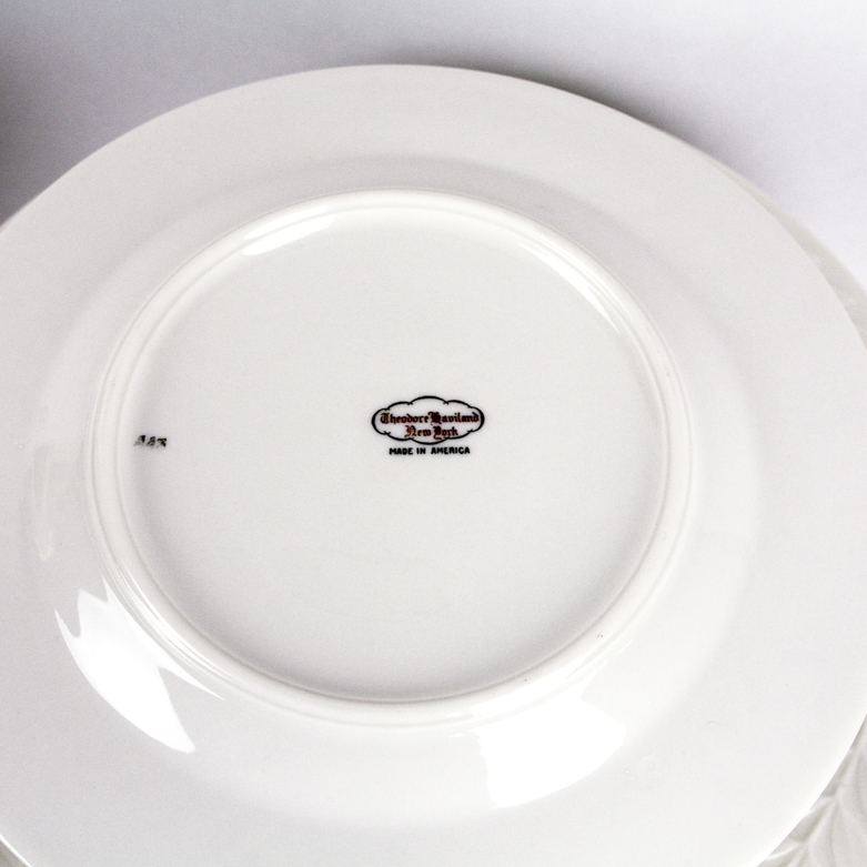 Theodore Haviland China Set in "Mount Vernon" Pattern