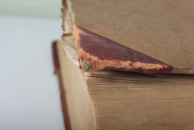 An Antique 1884 Edition of Webster's Dictionary