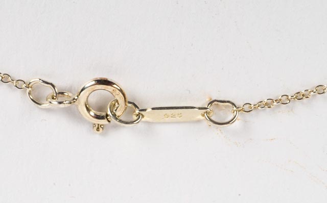 Tiffany & Co Sterling and Diamond Dragonfly Necklace