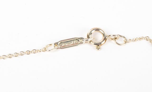 Tiffany & Co Sterling and Diamond Dragonfly Necklace