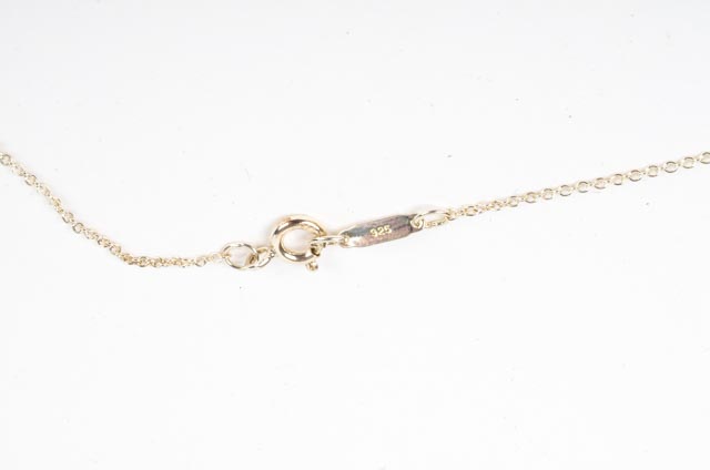 Tiffany & Co Sterling and Diamond Dragonfly Necklace