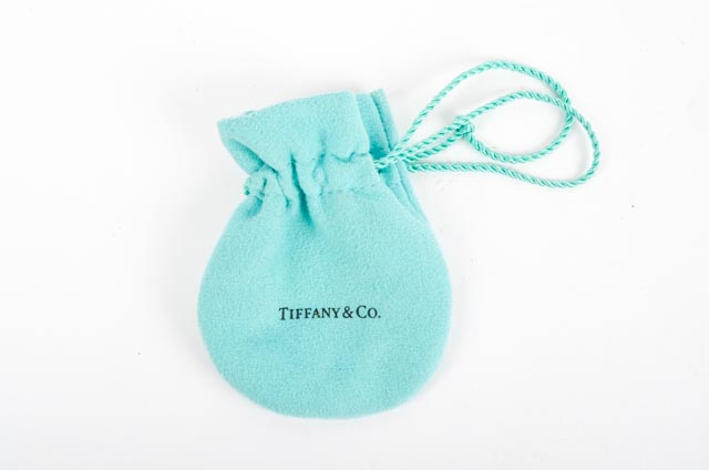 Tiffany & Co Sterling and Diamond Dragonfly Necklace