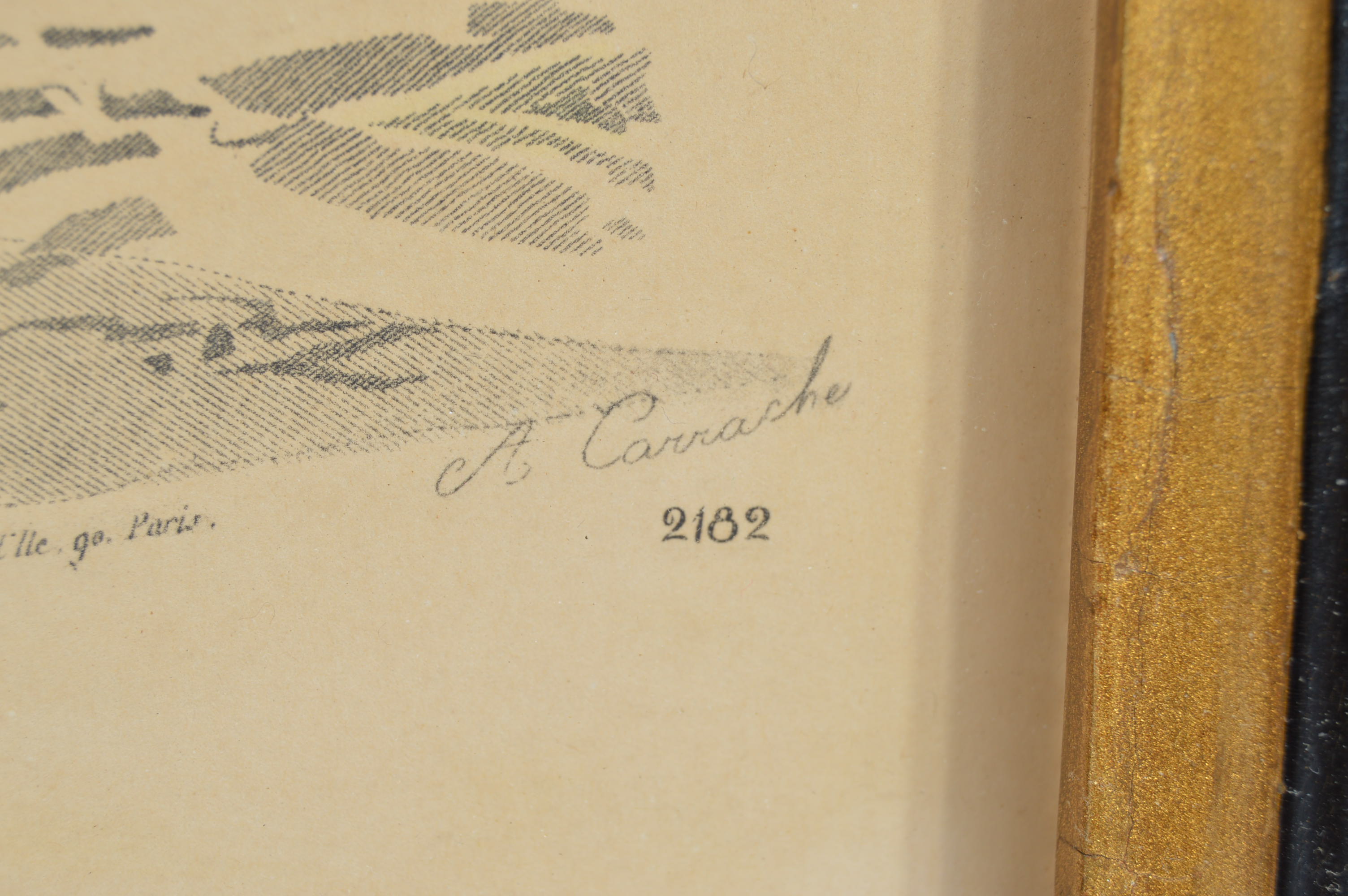 Framed Hand Tinted Etchings Of Parisian Fashions