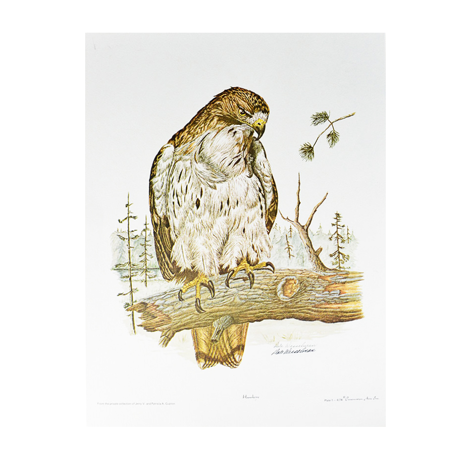 Dale Wesselman Signed Print "Hawkeye"