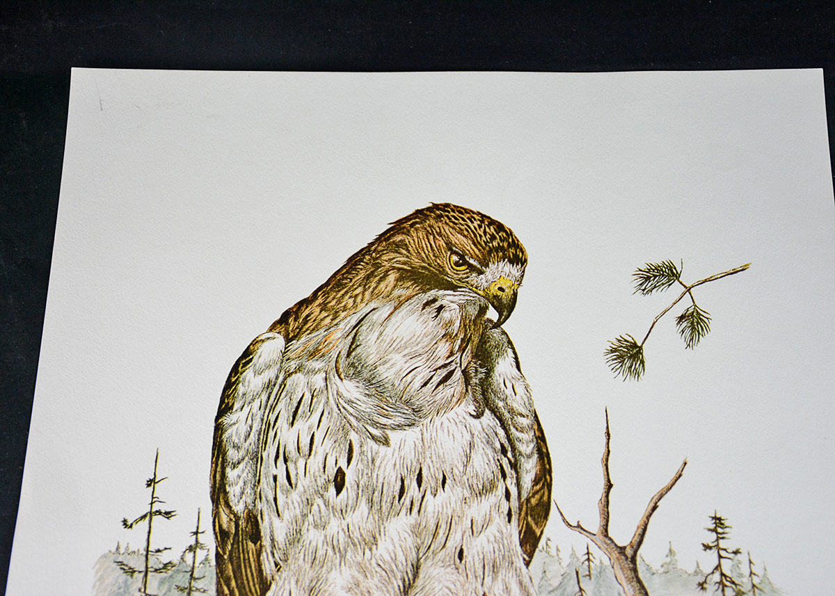 Dale Wesselman Signed Print "Hawkeye"