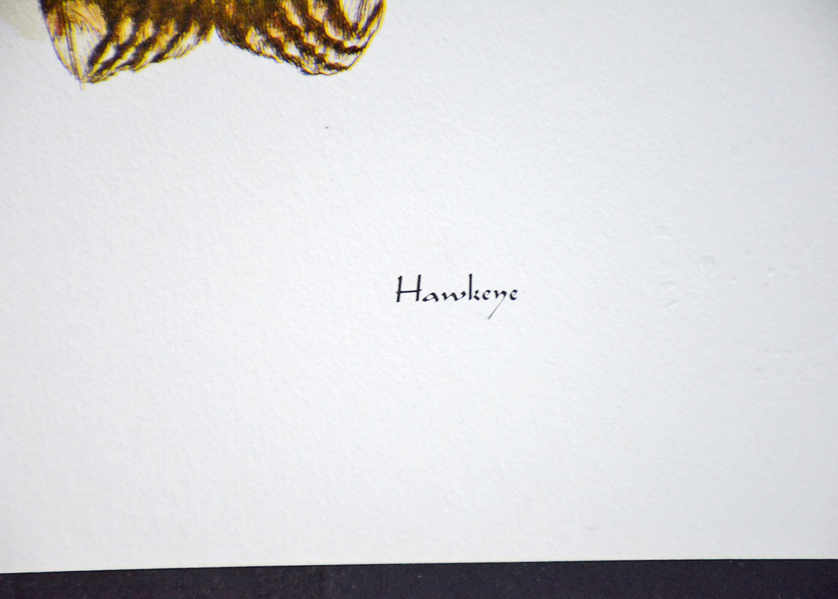 Dale Wesselman Signed Print "Hawkeye"