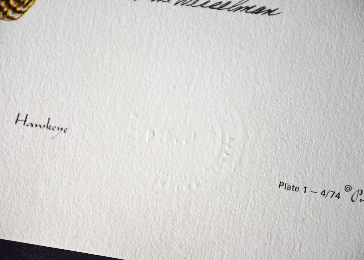 Dale Wesselman Signed Print "Hawkeye"