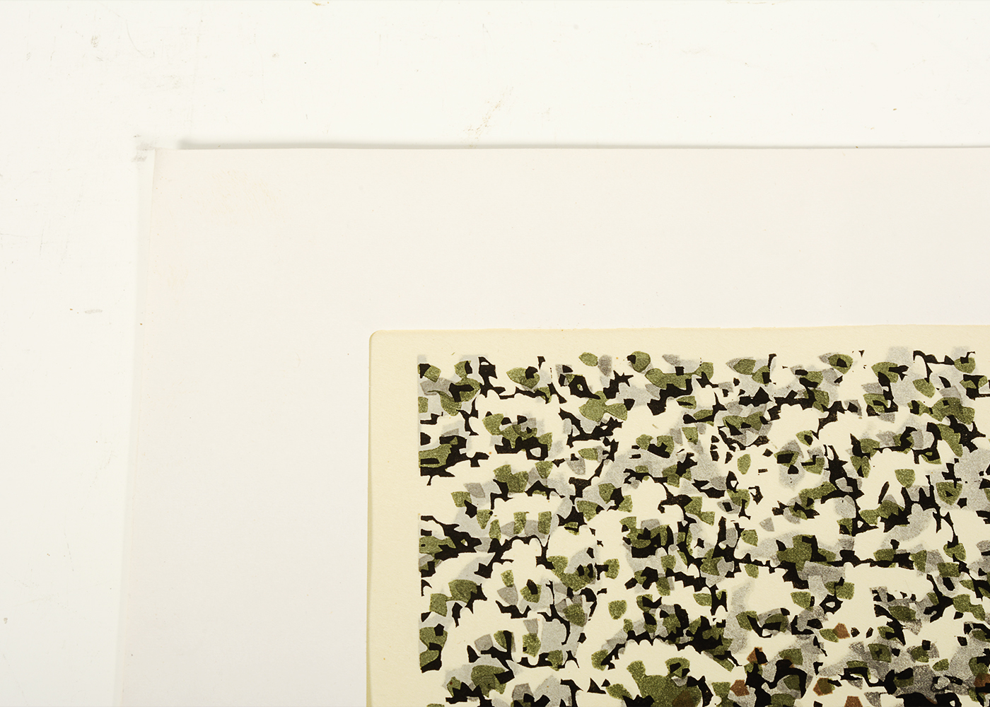 Katsuyuki Nishijima Signed Limited Edition Woodblock Print