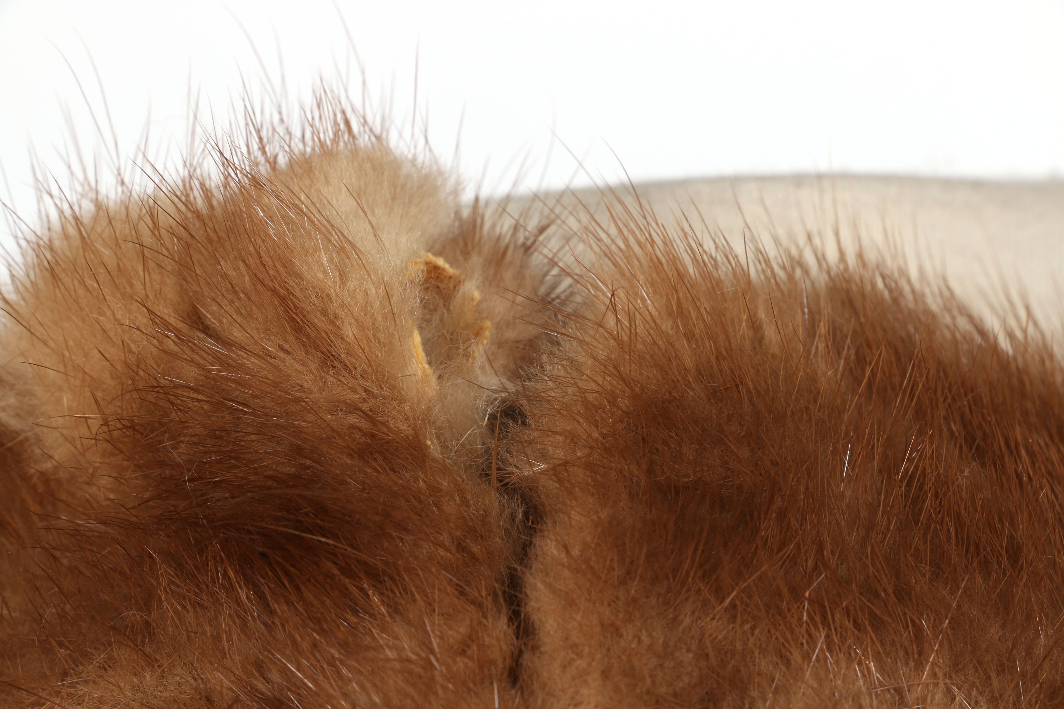 Pair of Vintage Mink Fur Stoles