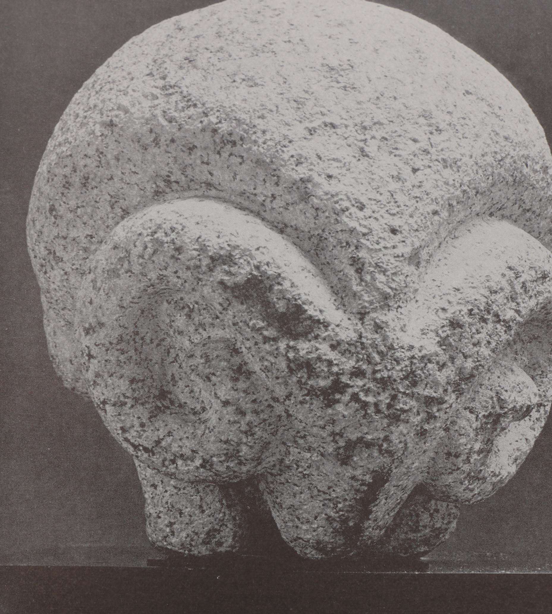 Art Exhibition Catalogues