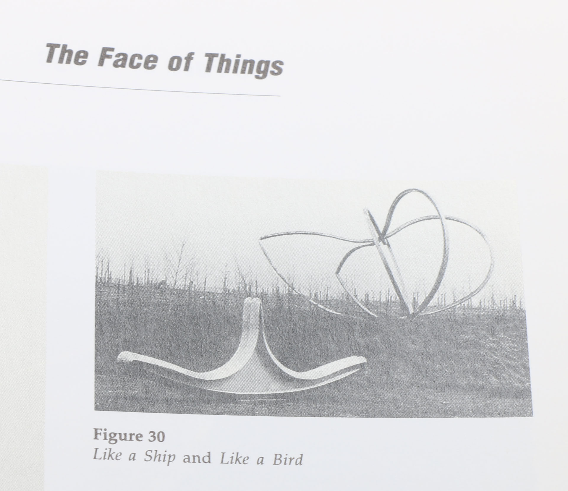 Art Exhibition Catalogues