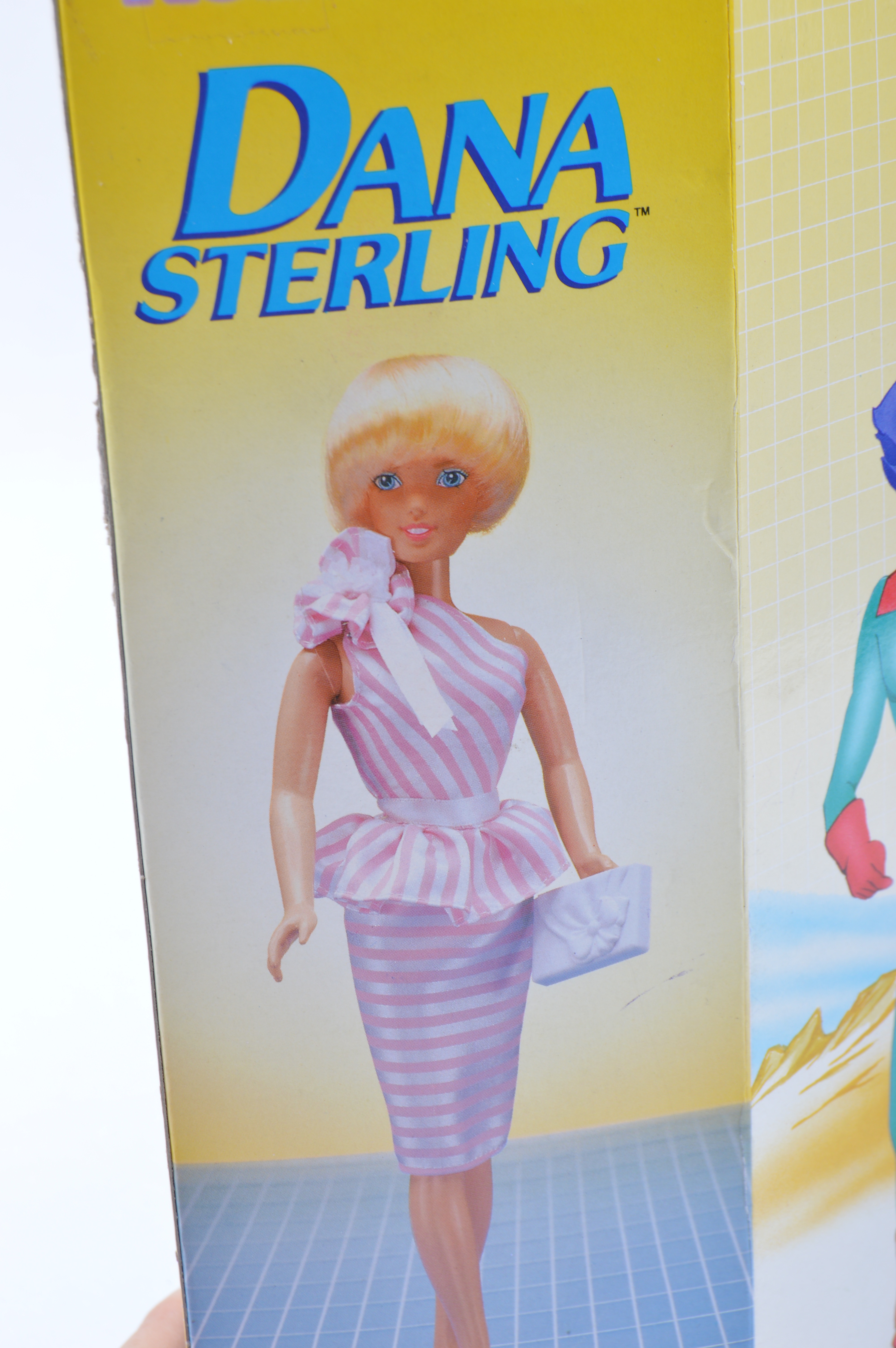 Mid-1980s Matchbox Robotech Action Figure Dolls in Packaging