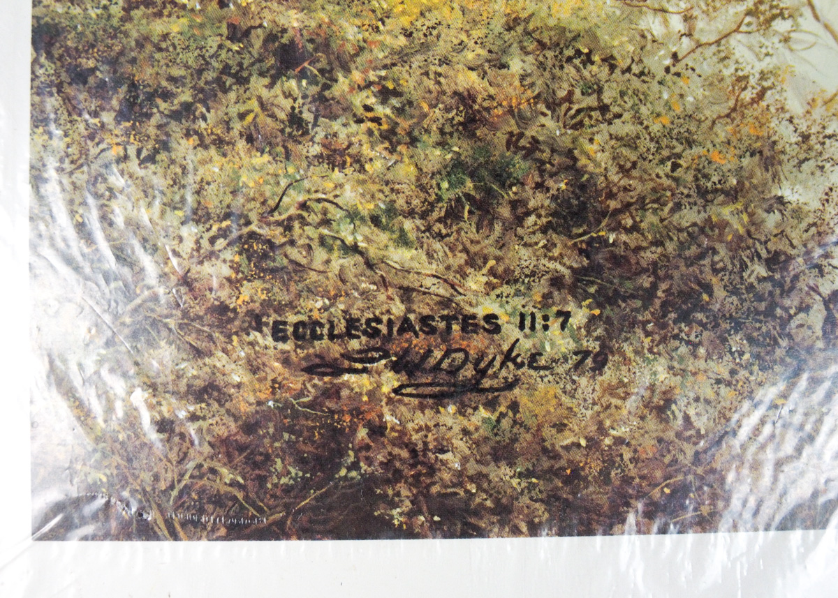 Vintage Fine Art Print of "Sunlit Silence" After Larry Dyke