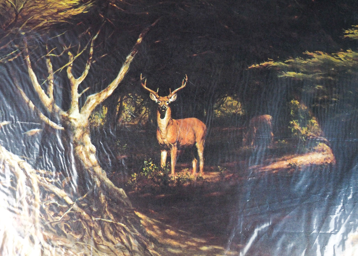 Vintage Fine Art Print of "Sunlit Silence" After Larry Dyke