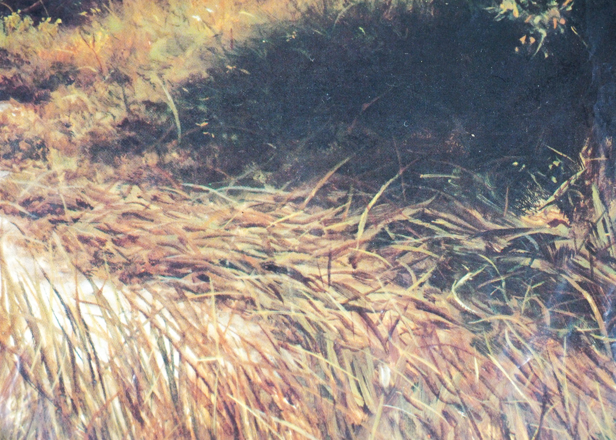 Vintage Fine Art Print of "Sunlit Silence" After Larry Dyke