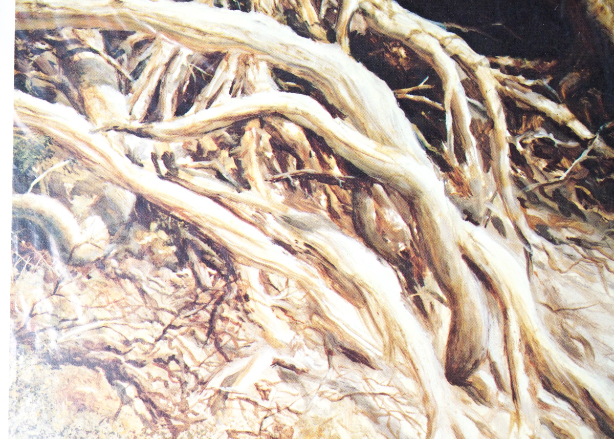 Vintage Fine Art Print of "Sunlit Silence" After Larry Dyke