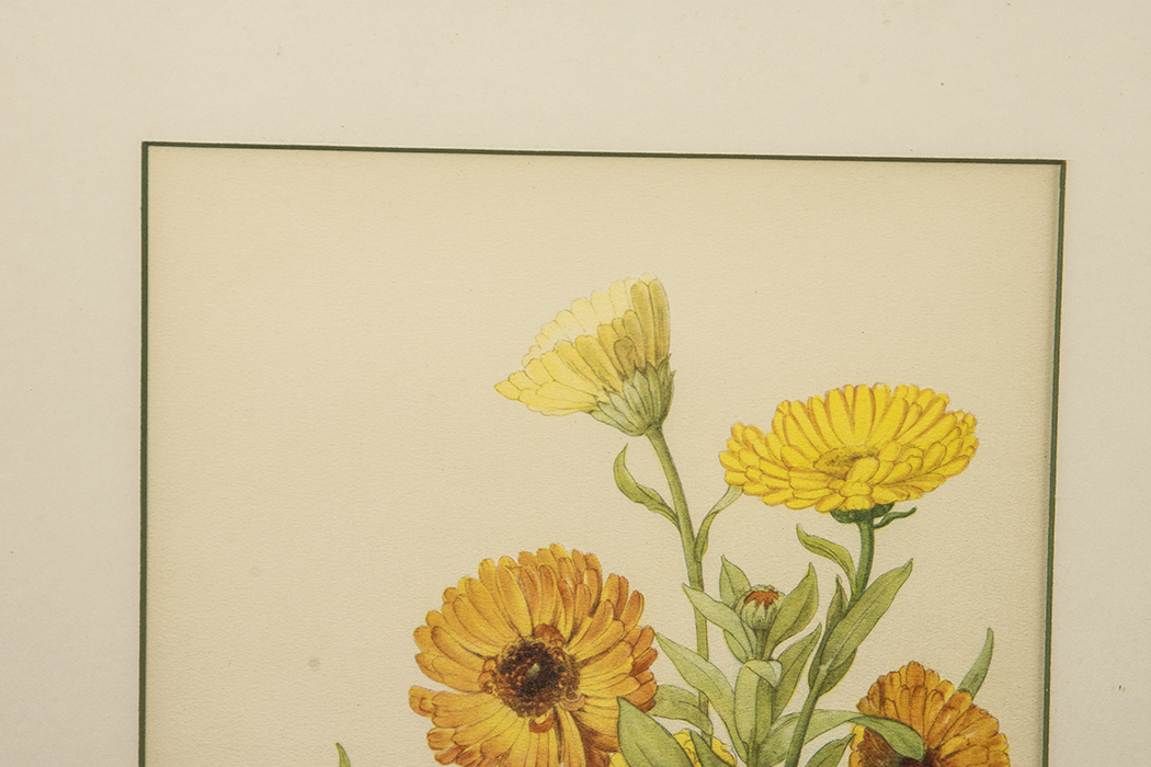 Pair of Laurence Perugini Lithographs