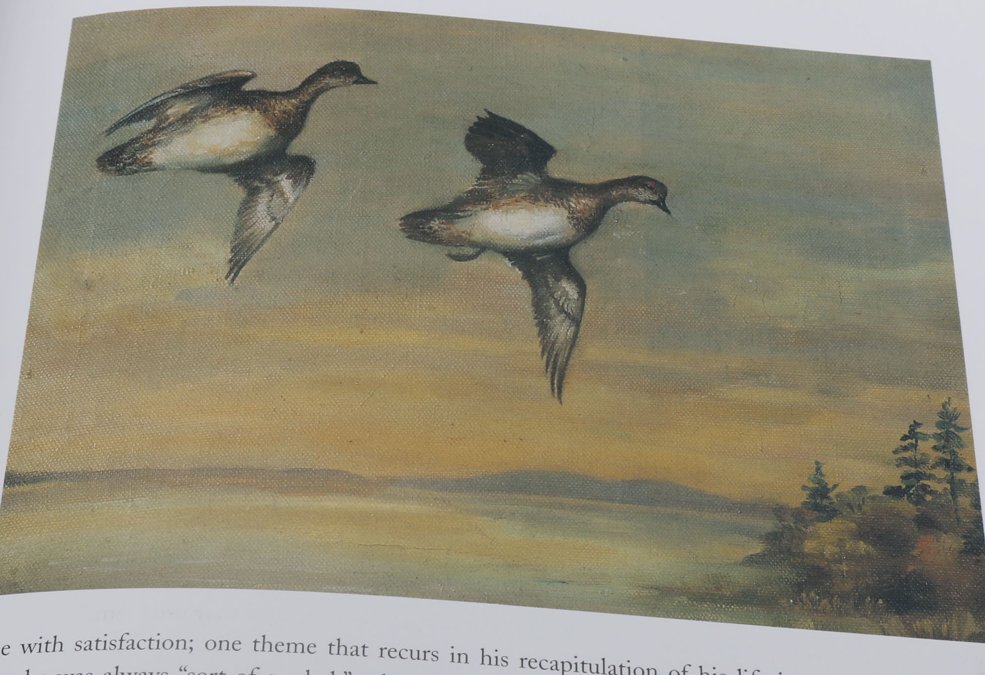 First Edition "Roger Tory Peterson:  The Art and Photography of the World's Foremost Birder"