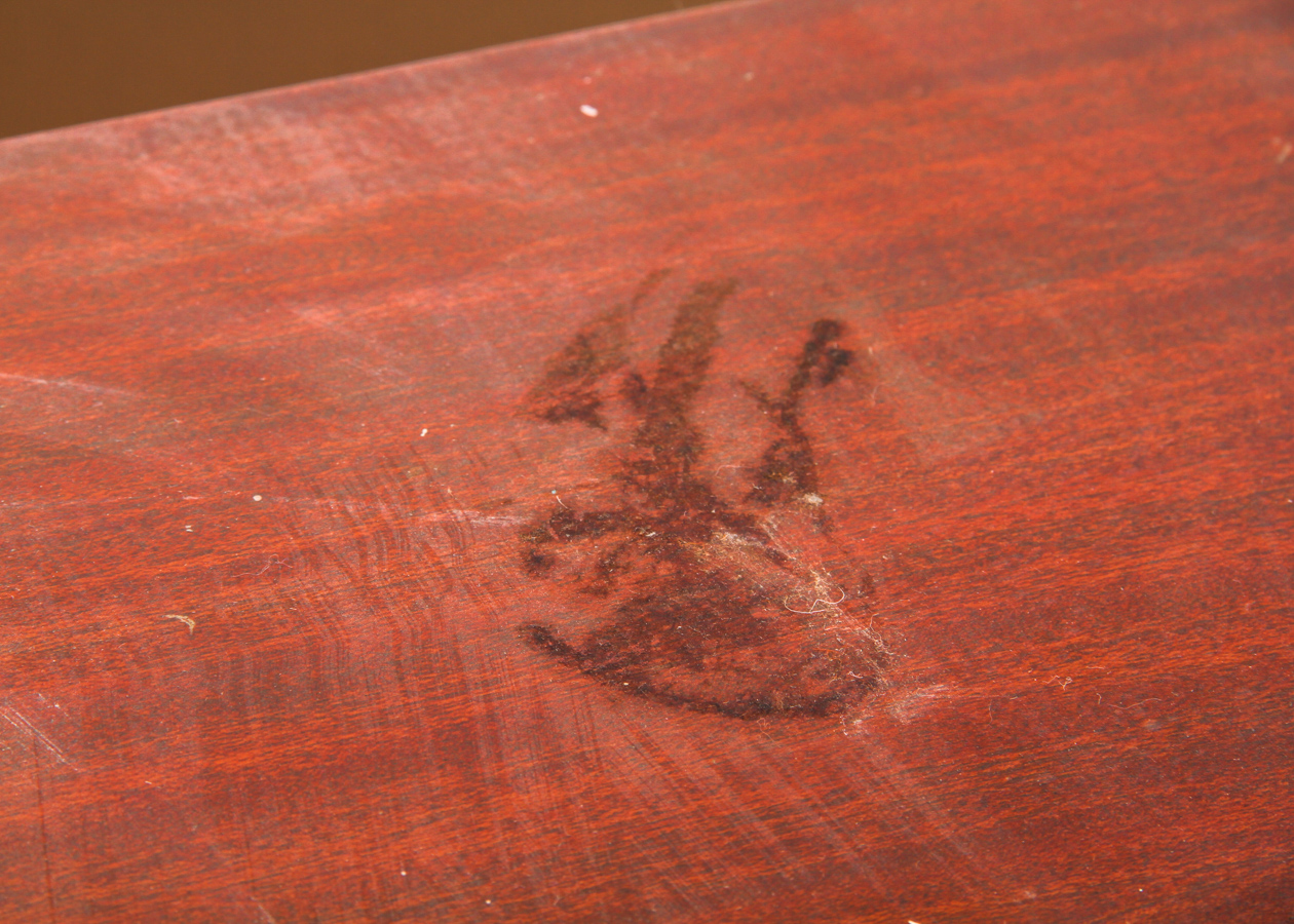 Vintage 1952 Packard Bell CRT Television With Cabinet