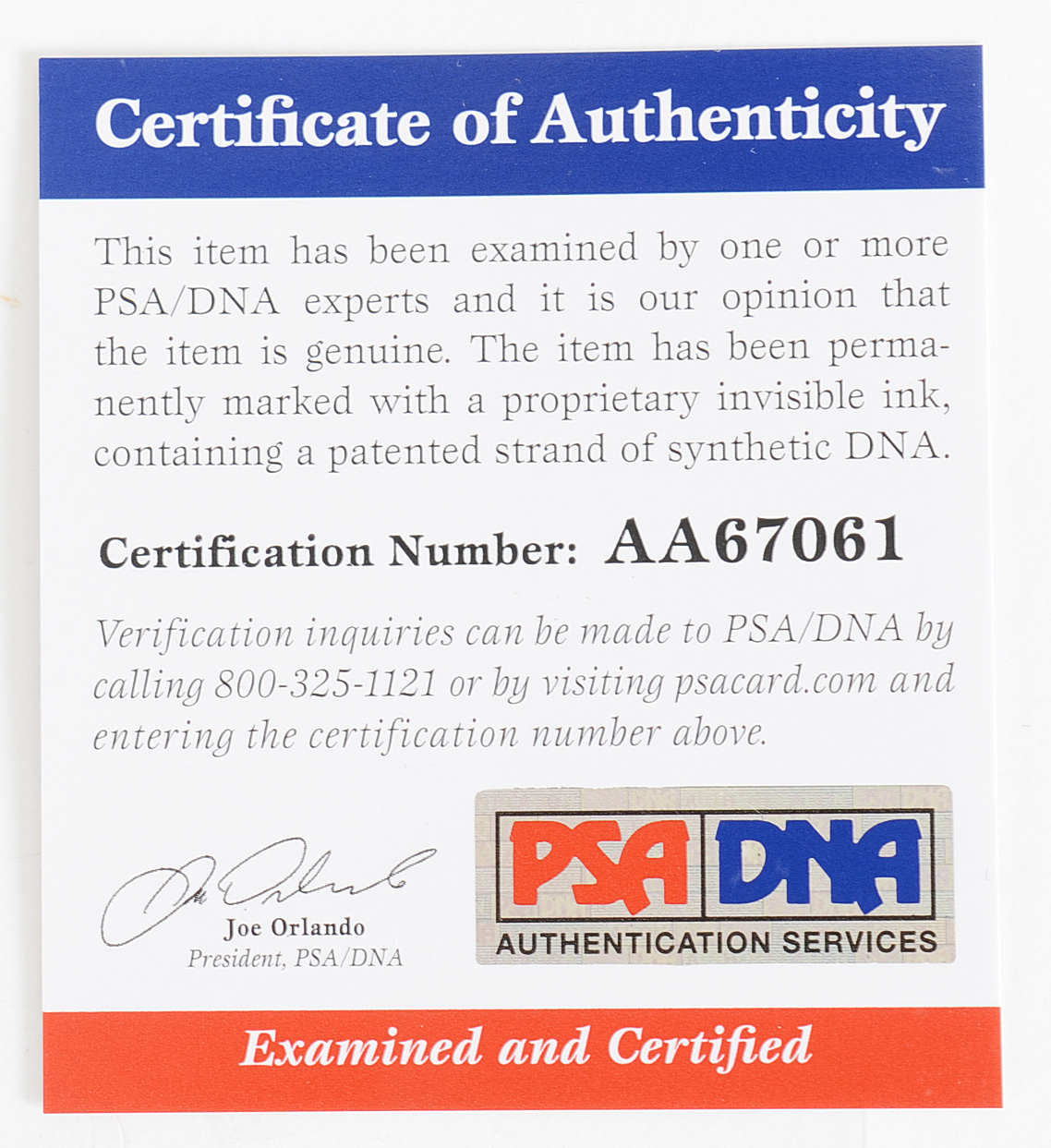 Dennis Rodman Signed Bulls Jersey  COA