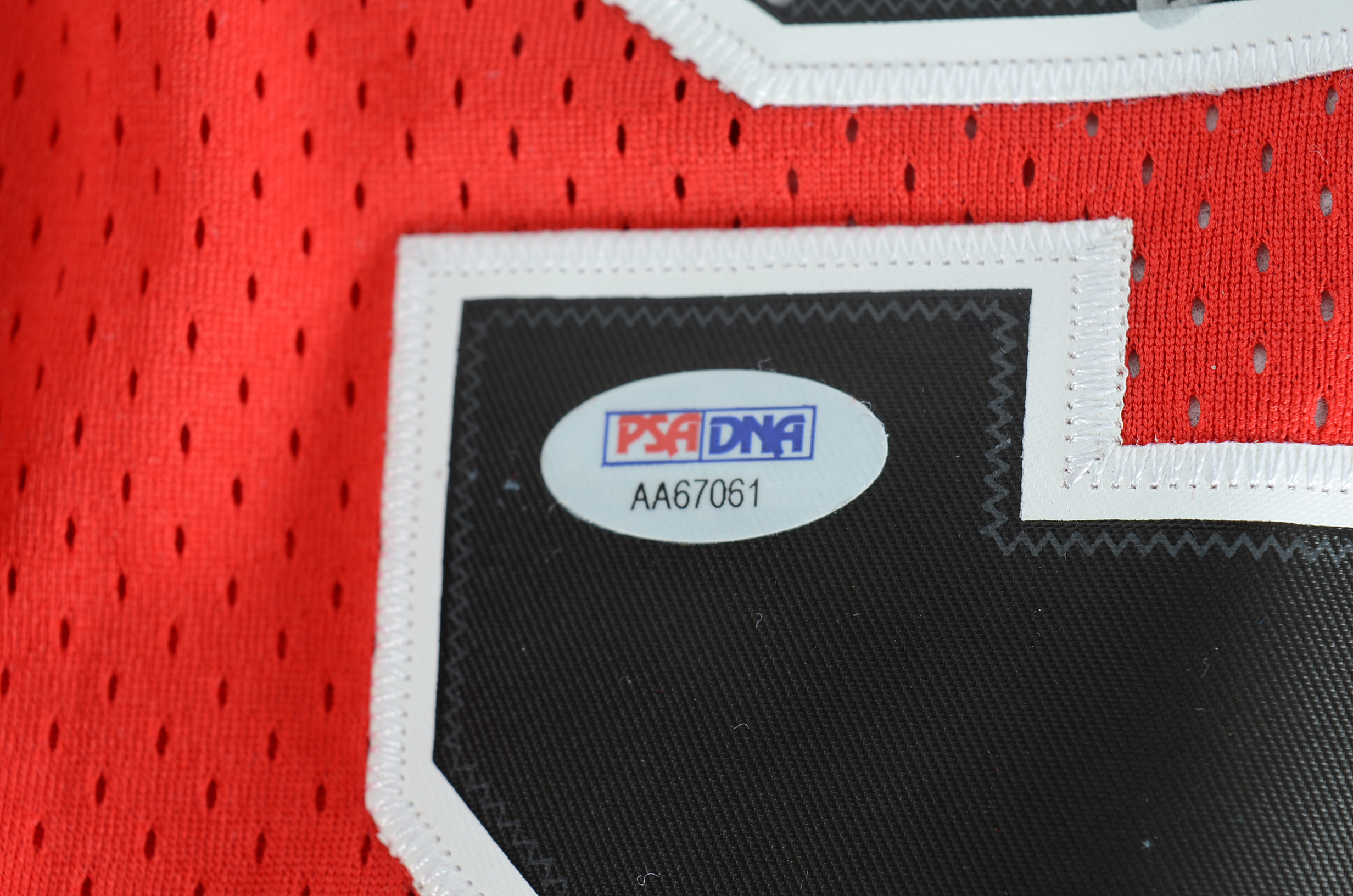 Dennis Rodman Signed Bulls Jersey  COA