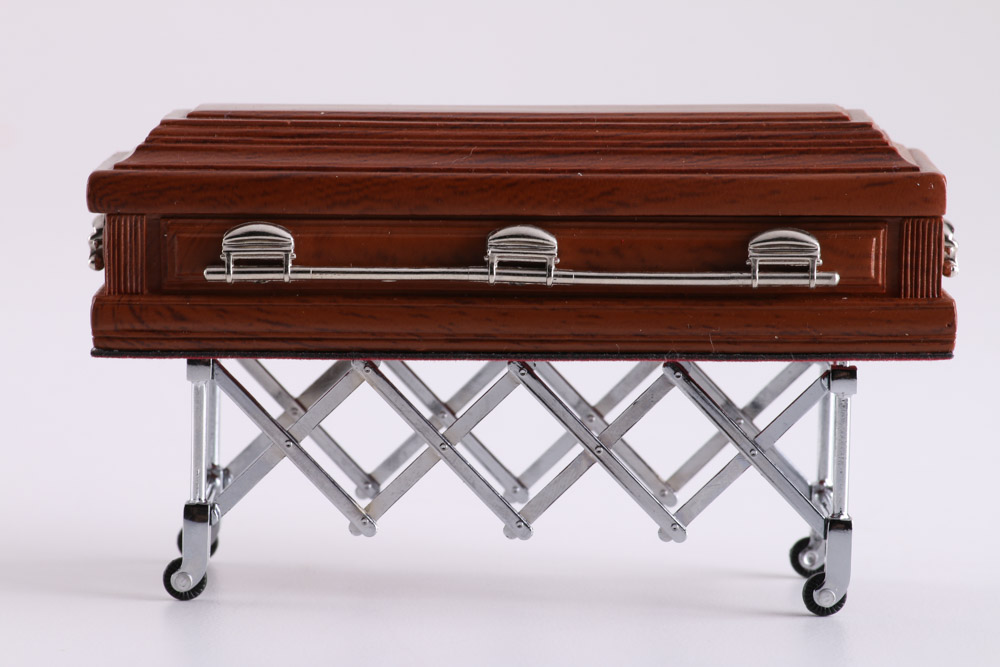 1966 Cadillac Limousine Hearse