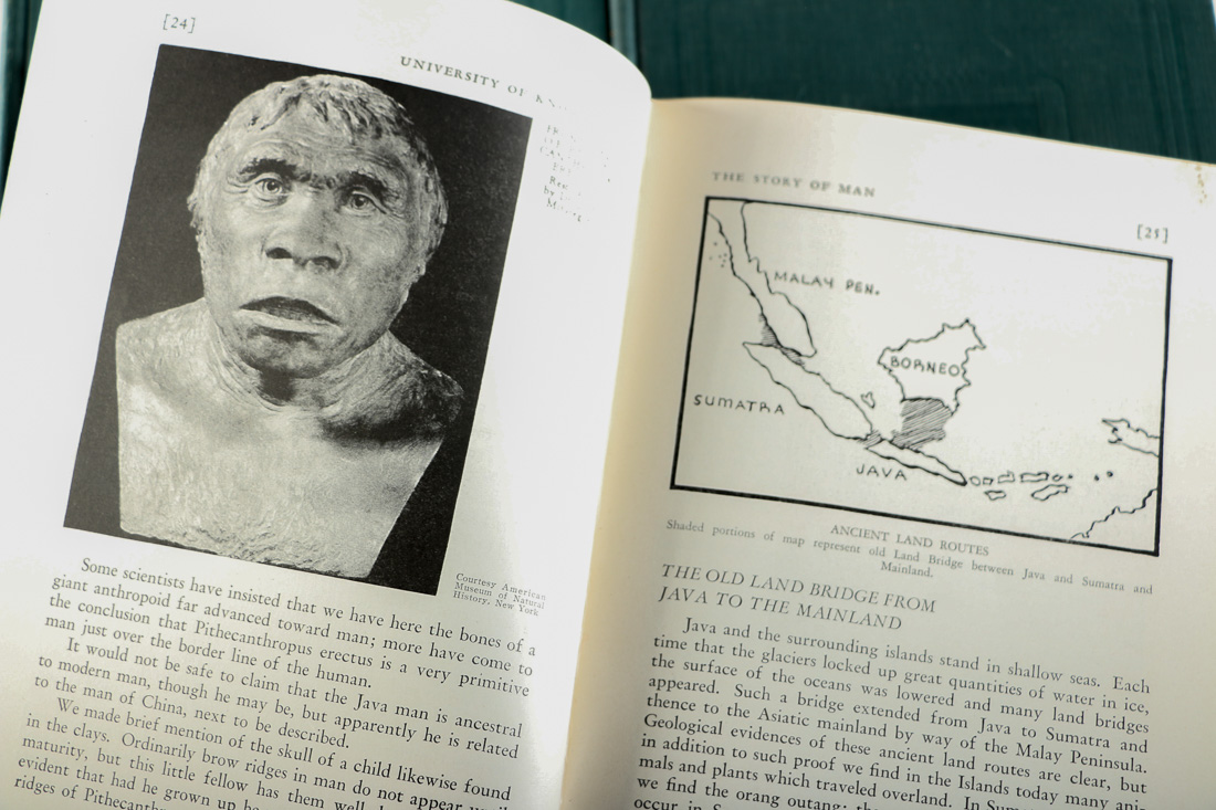 Three Books from the Wonder Books Set