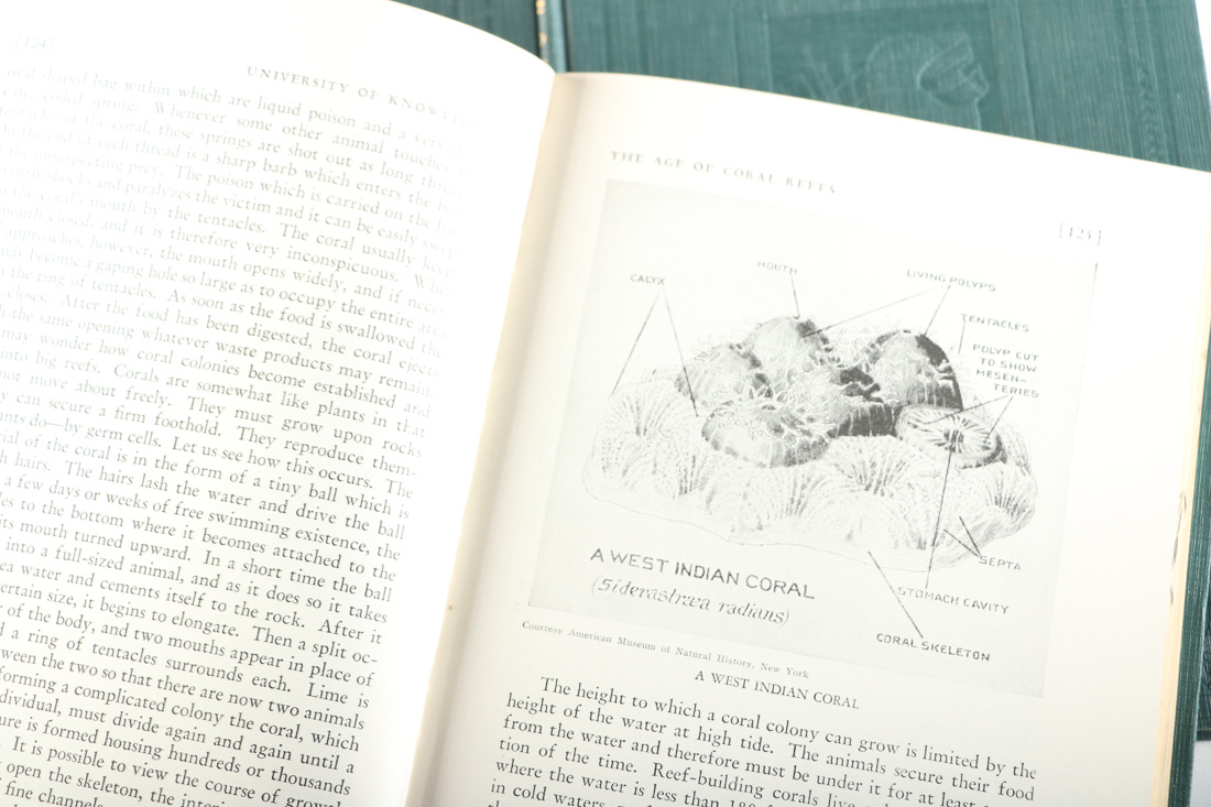 Three Books from the Wonder Books Set