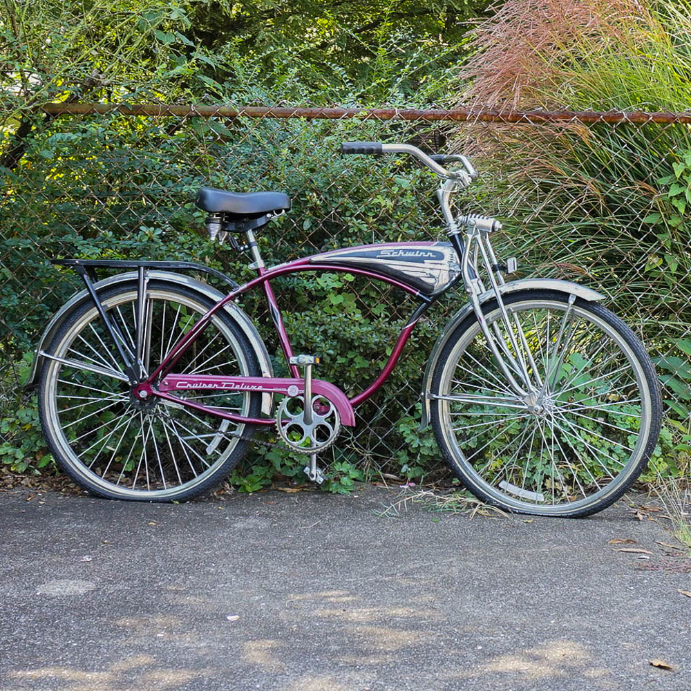 1995 schwinn cruiser hot sale