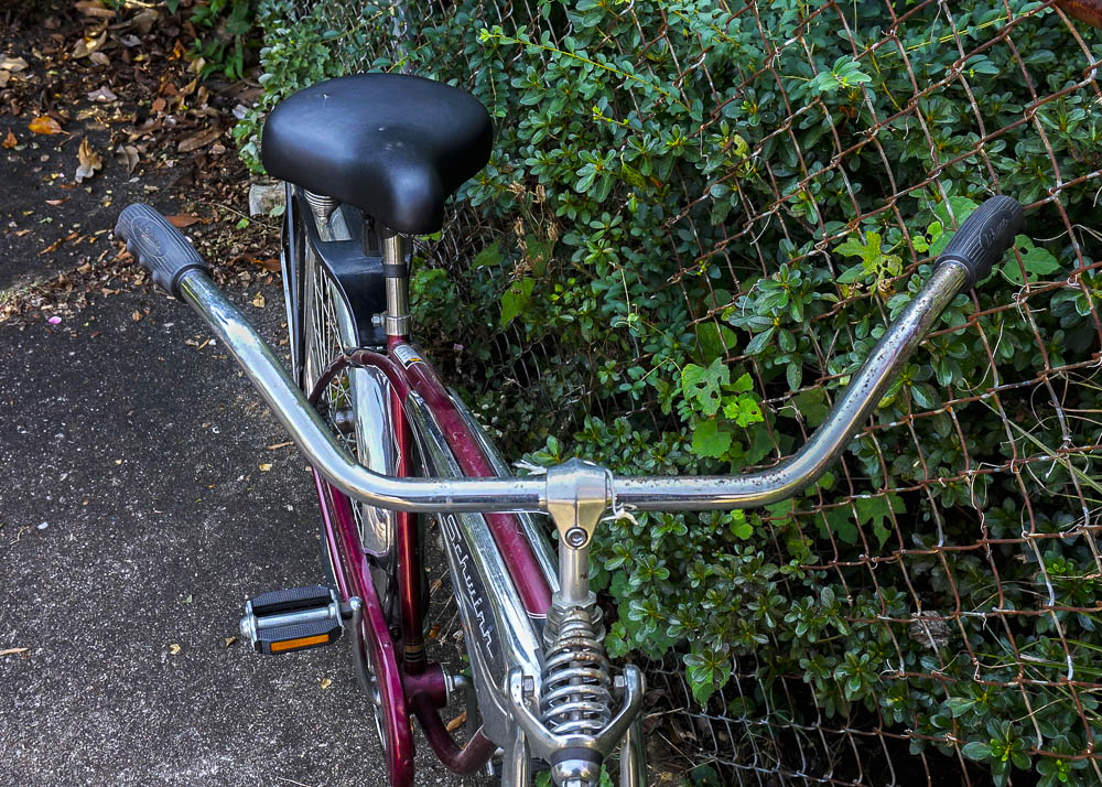 1995 Schwinn Cruiser Deluxe Limited Anniversary Edition