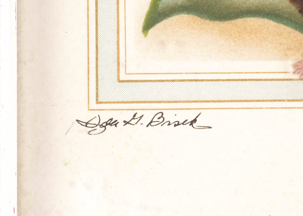 Antique and Vintage Framed Wall Decor