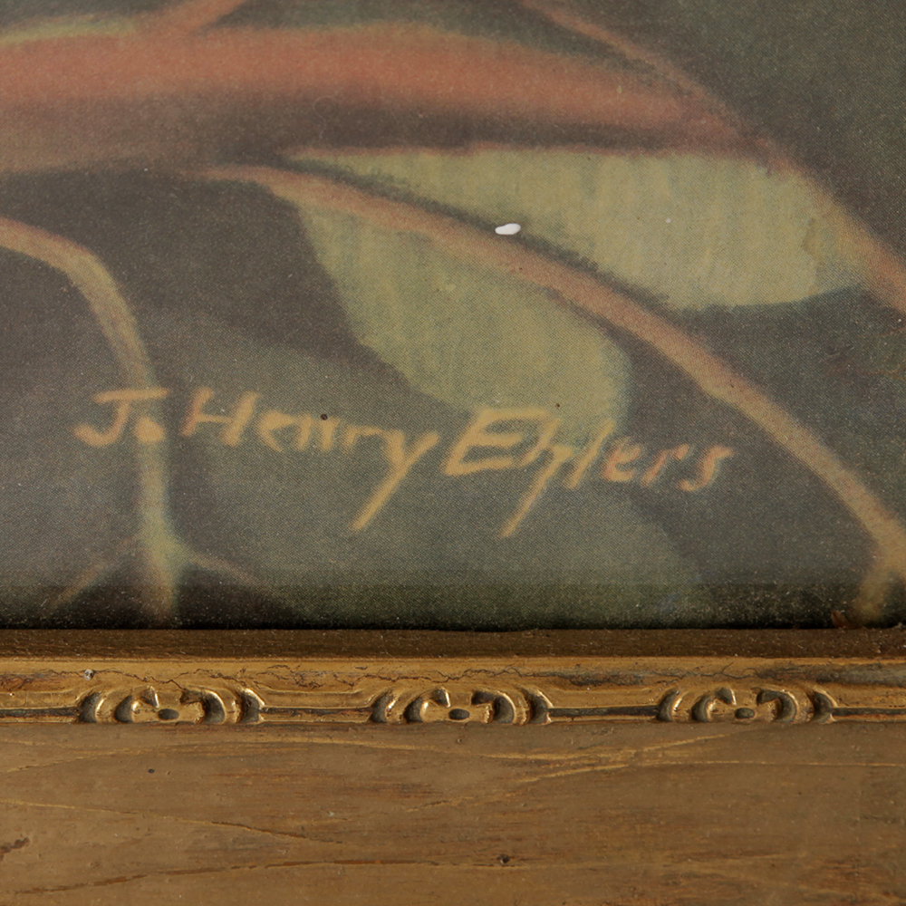 Large Framed Cockatoos Print after Painting by J. Henry Ehlers