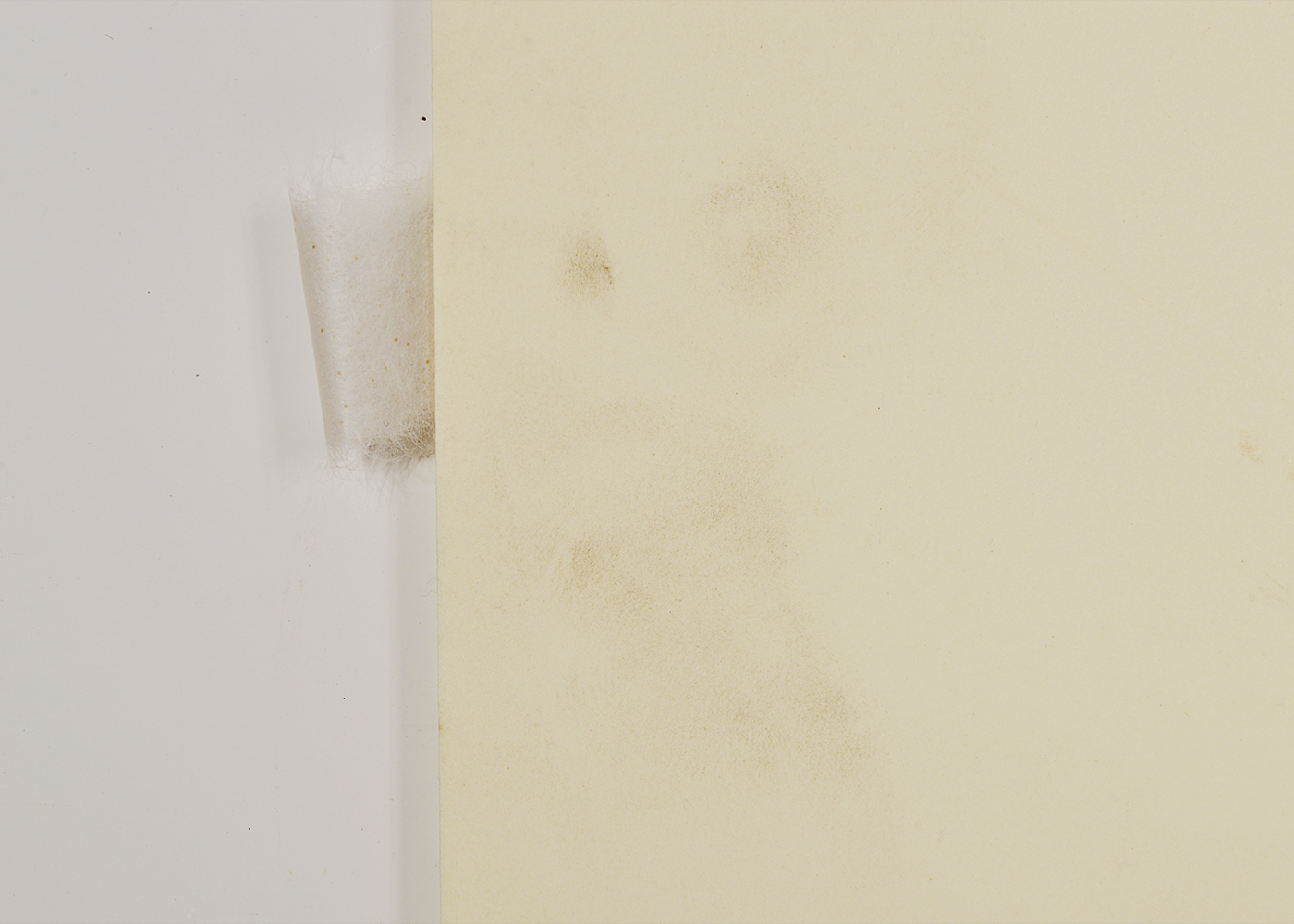 Tibetan "Wheel of Life" Woodblock Print on Paper