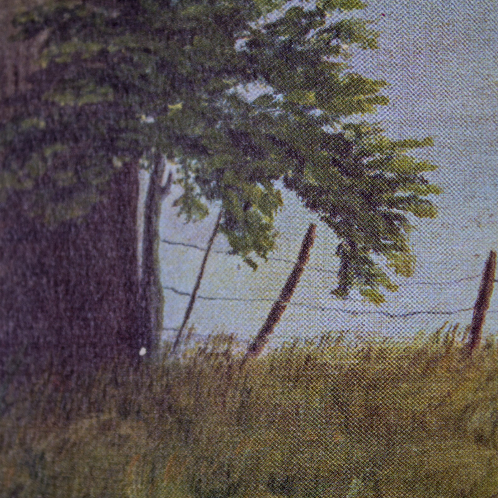 Collection of James L. Puckett Prints