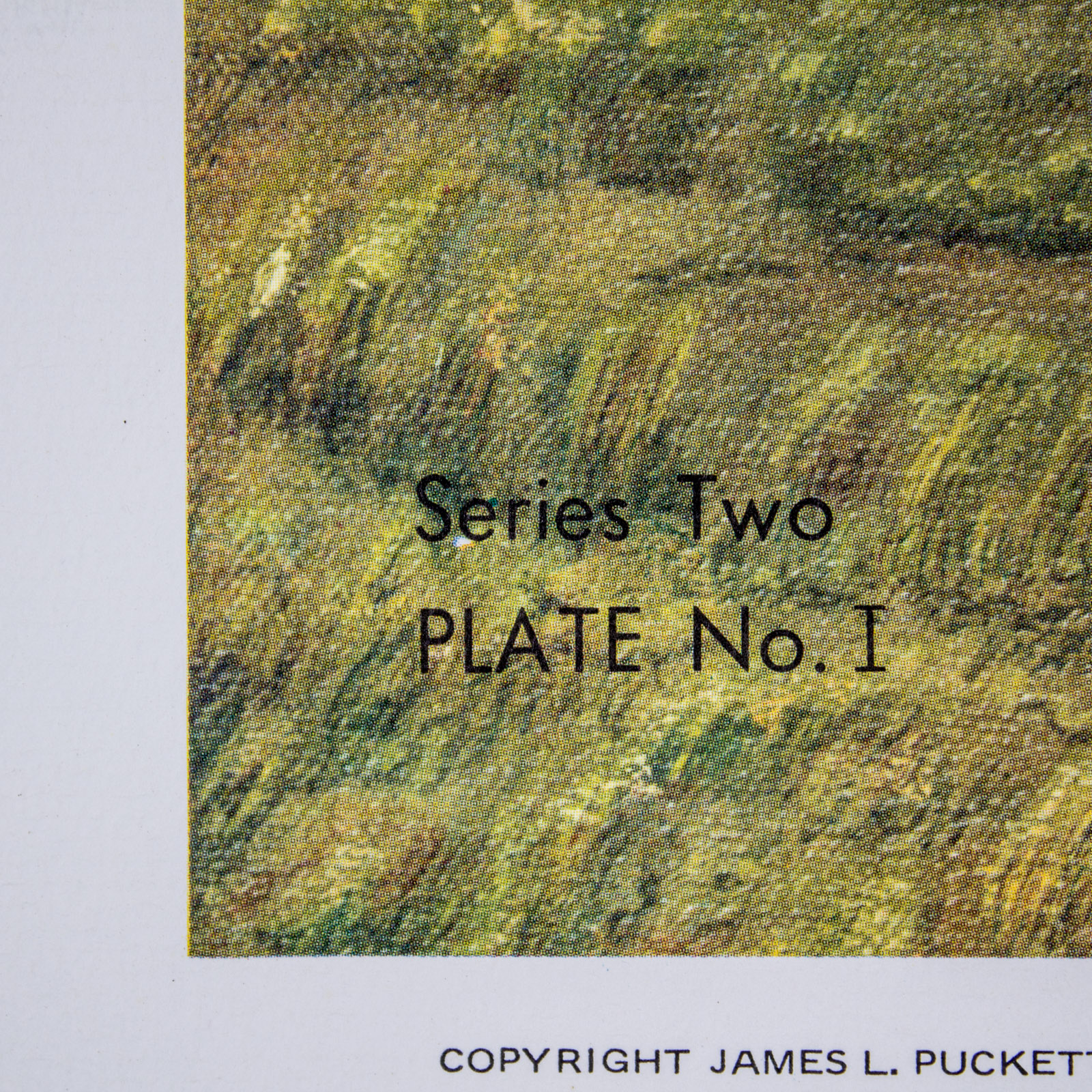 Collection of James L. Puckett Prints