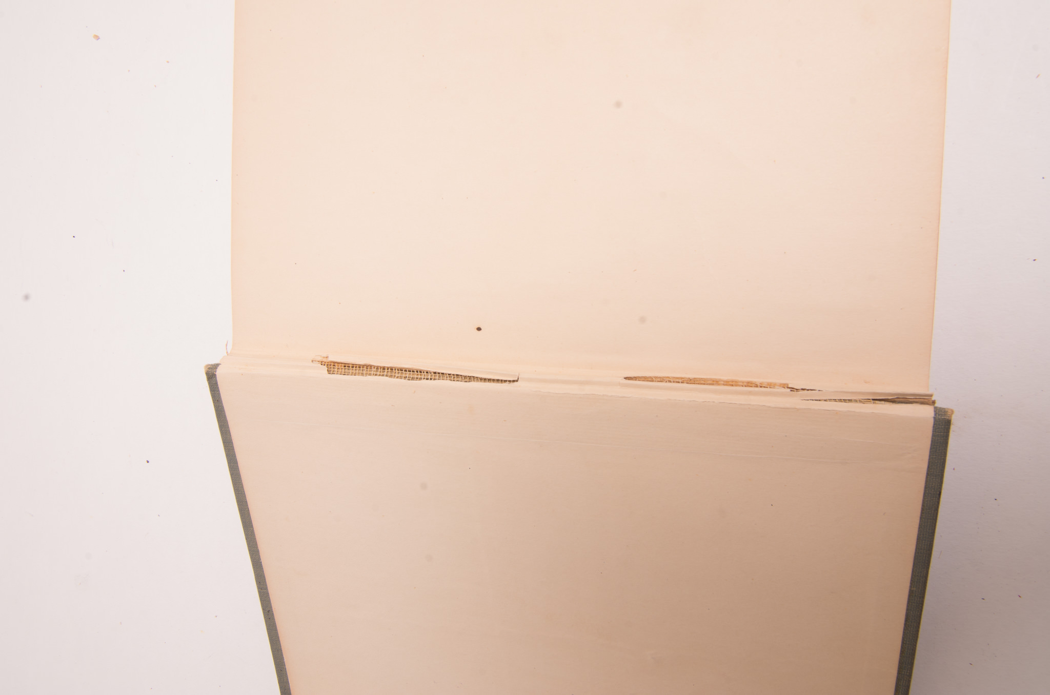 Vintage Teaching Books