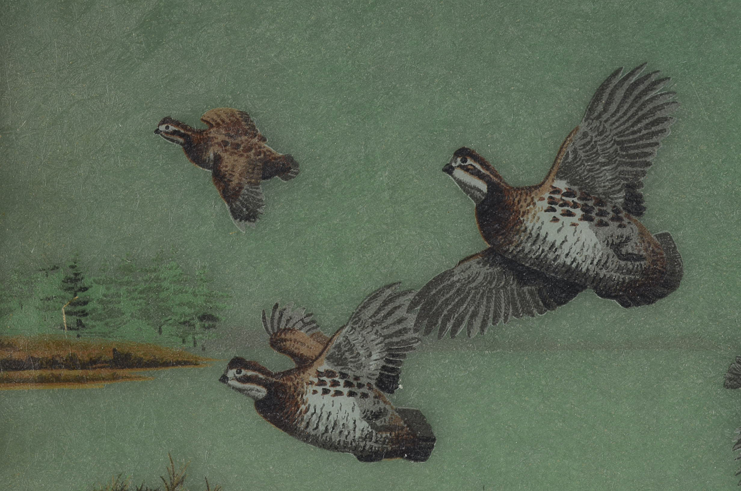 Vintage Hand Painted Fiberglass Tray of Quails by Grace Gilmore