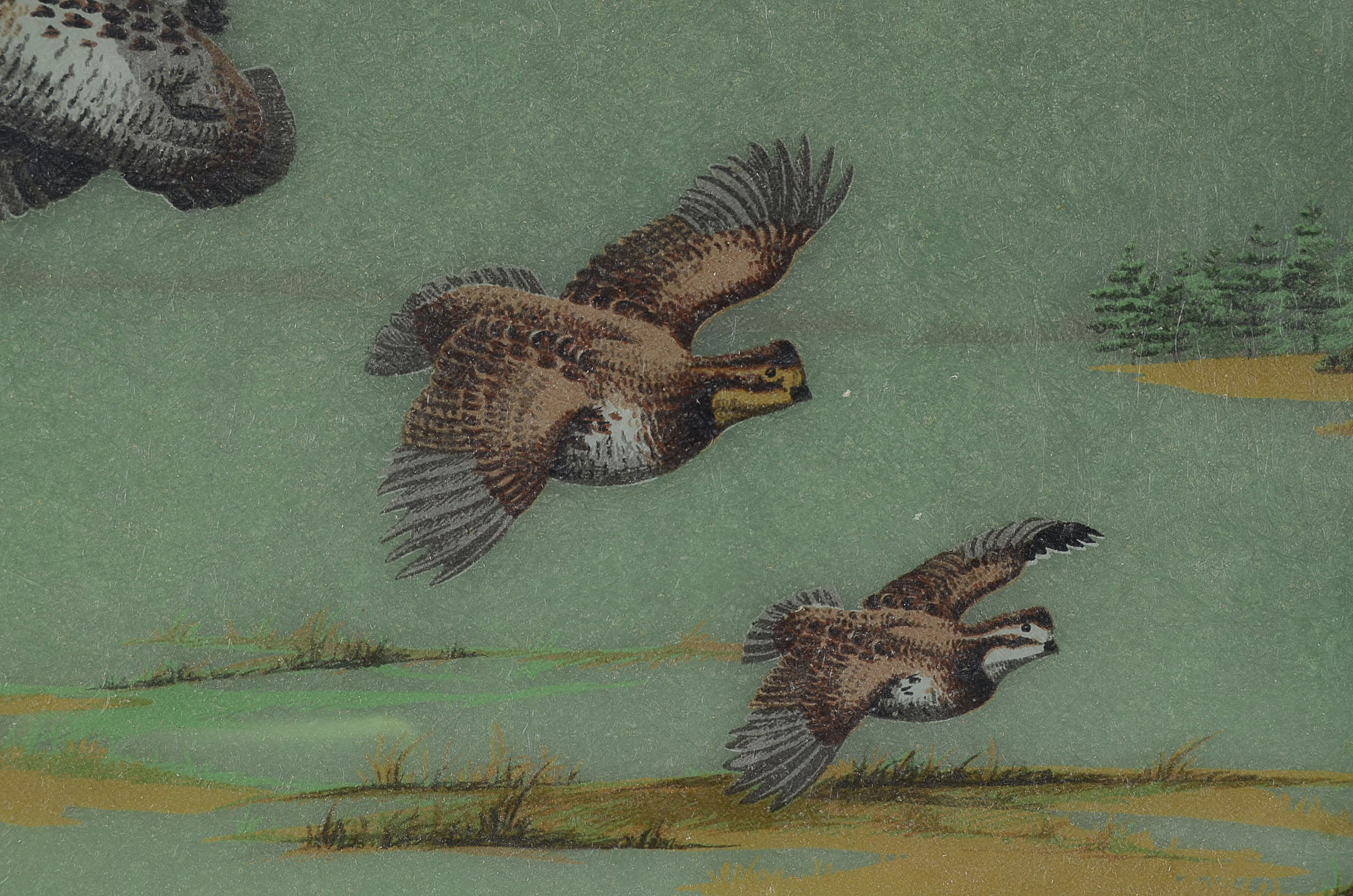 Vintage Hand Painted Fiberglass Tray of Quails by Grace Gilmore