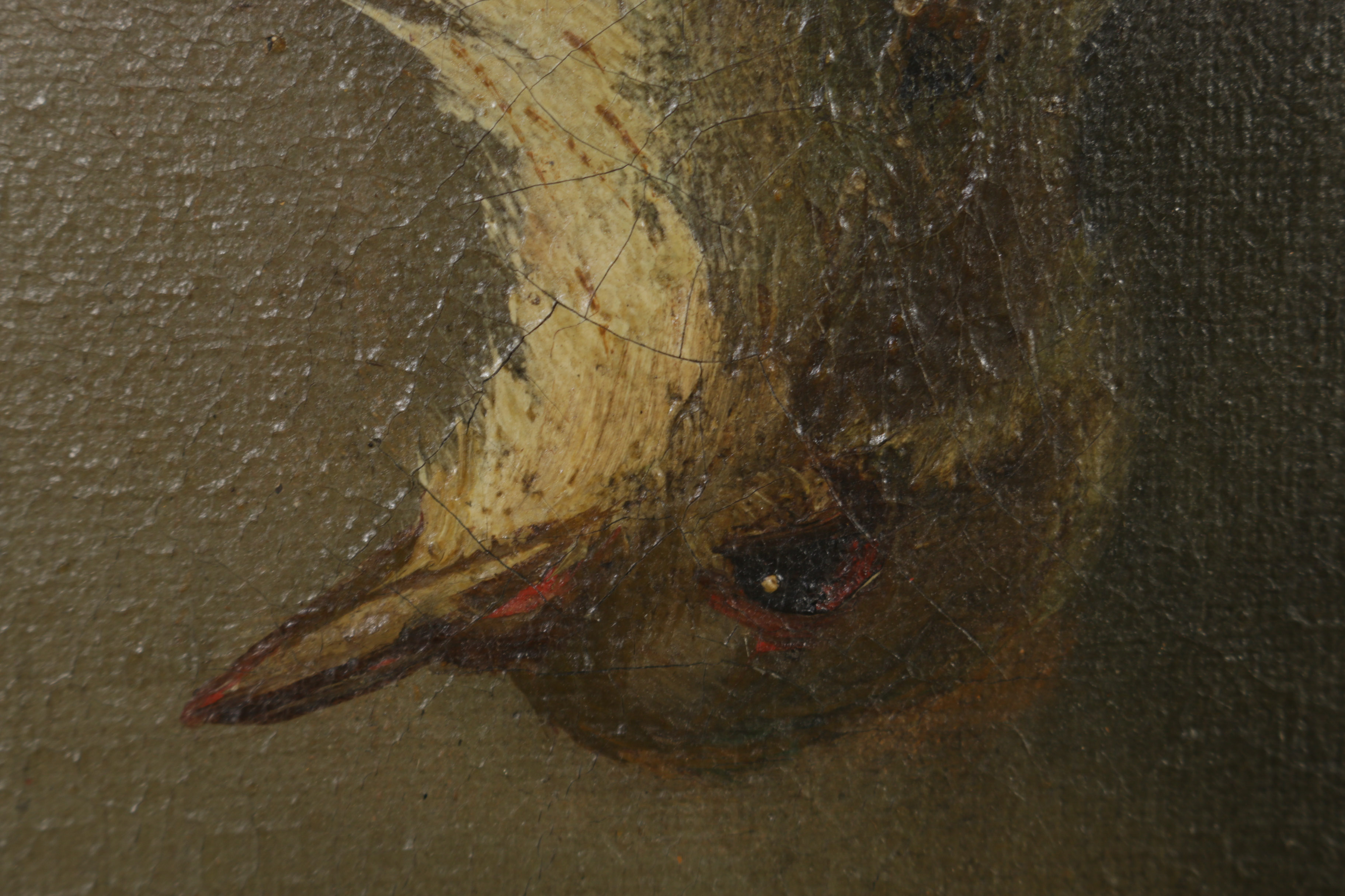 William Schinzel Oil Painting on Board Animal Still Life