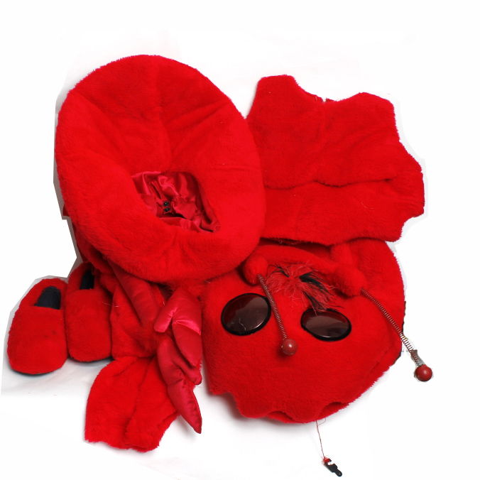 Professional Red Ant Costume with Full Size Body Coverage