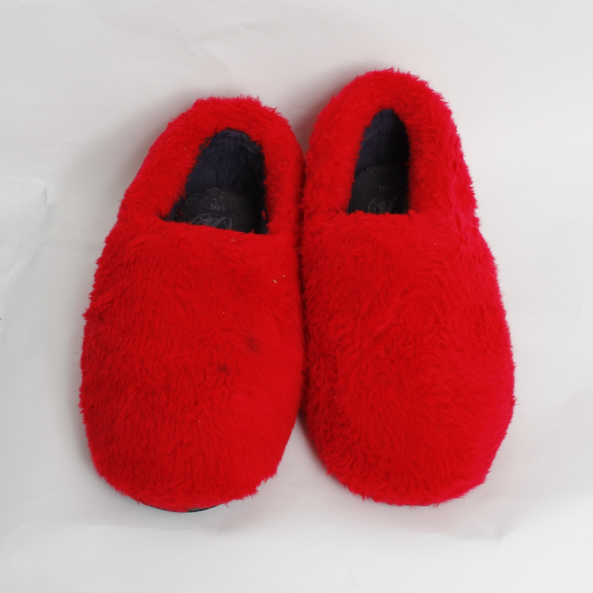 Professional Red Ant Costume with Full Size Body Coverage