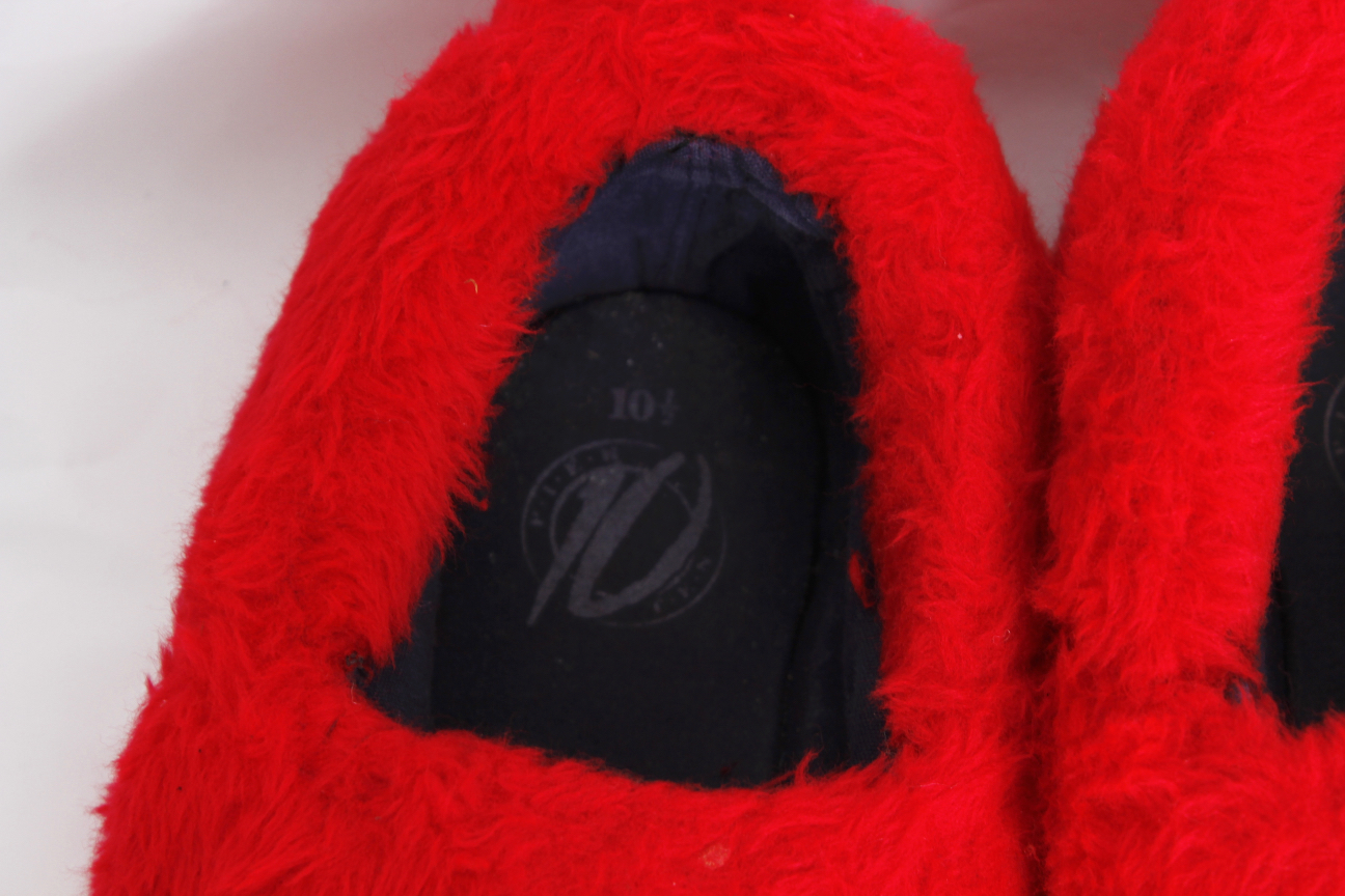 Professional Red Ant Costume with Full Size Body Coverage